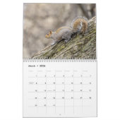 Eichhörne 2026 kalender (Mär 2026)