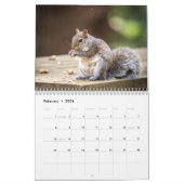 Eichhörne 2026 kalender (Feb 2026)