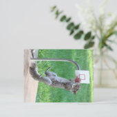 Eichhörrel Slam Dunk Postkarte (Stehend Vorderseite)