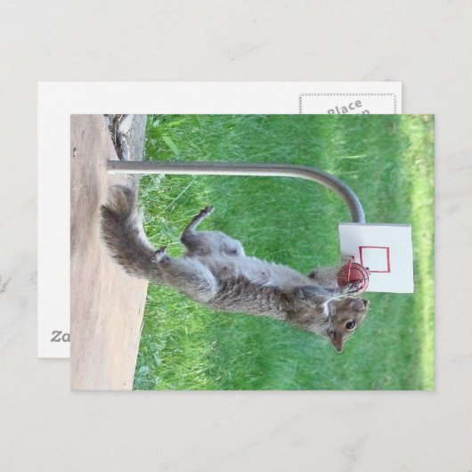 Eichhörrel Slam Dunk Postkarte (Vorne/Hinten)