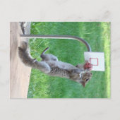 Eichhörrel Slam Dunk Postkarte (Vorderseite)