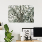 Eichkathedrale | Lebendeiche | Poster (Heimbüro)