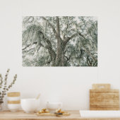 Eichkathedrale | Lebendeiche | Poster (Küche)