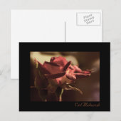 Eid Mubarak - rote Rose Postkarte (Vorne/Hinten)