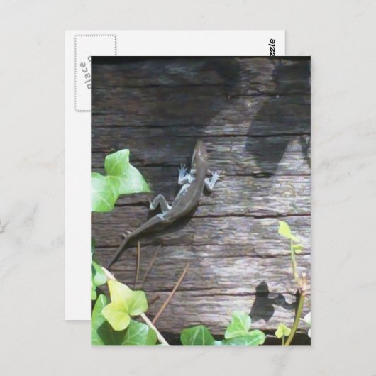 Eidechse an einer Efeu Postkarte (Vorne/Hinten)