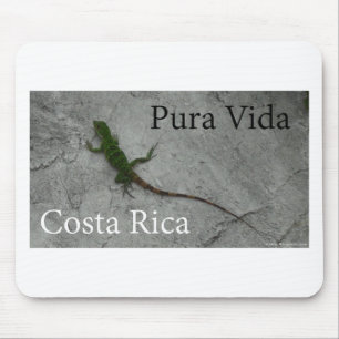 Eidechse auf Steinwand in Costa Rica Pura Vida! Mousepad