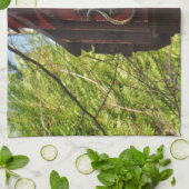 Eidechse aus abgetragenem Holz Handtuch (Gefaltet)