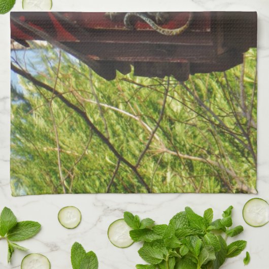 Eidechse aus abgetragenem Holz Handtuch (Gefaltet)