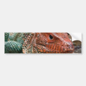 Eidechse Autoaufkleber (Vorne)