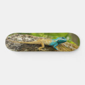 Eidechse Blau-Mit Haube Calotes Mystaceus Skateboard (Horizontal)