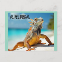 Eidechse genießt den Strand in Aruba