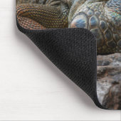 Eidechse, Iguana, Natur Mousepad (Ecke)
