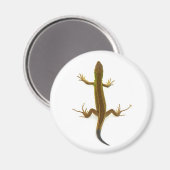 Eidechse Magnet (Vorderseite/Rückseite)