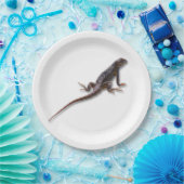 EIDECHSE PAPPTELLER (Party)