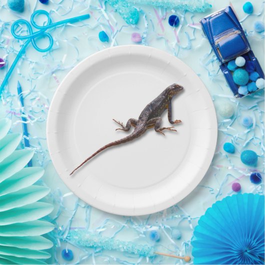 EIDECHSE PAPPTELLER (Party)