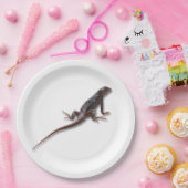 EIDECHSE PAPPTELLER (Party)