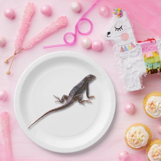 EIDECHSE PAPPTELLER (Party)