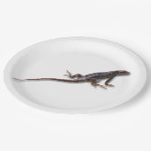 EIDECHSE PAPPTELLER (Schrägansicht)