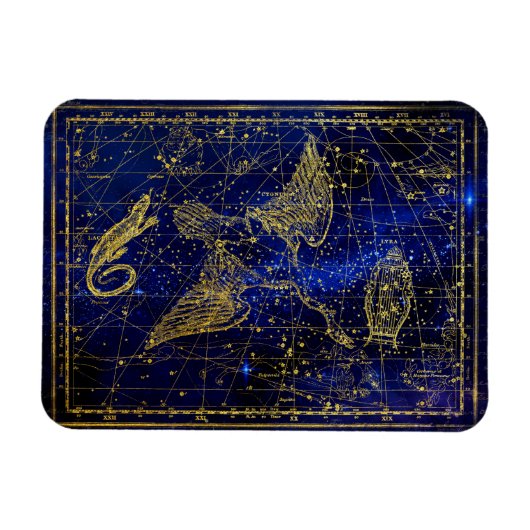 Eidechse und Schwan Sternbild Magnet (Horizontal)