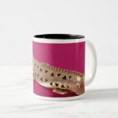 Eidechse, von Kolumbien Zweifarbige Tasse (VorderseiteRechts)