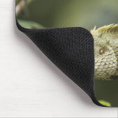 Eidechsen, Eidechsen, Tiere im Orientalischen Gart Mousepad (Ecke)