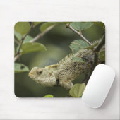 Eidechsen, Eidechsen, Tiere im Orientalischen Gart Mousepad (Mit Mouse)