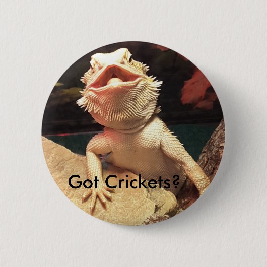 Eidechsen-/Kricket-Knopf Button (Vorderseite)