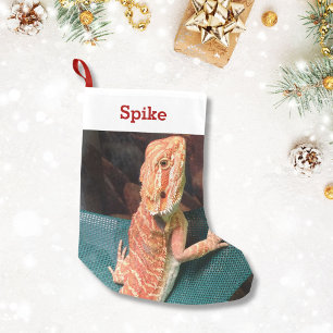 Eidechsen-Liebhaber-Haustier-Foto und Name Kleiner Weihnachtsstrumpf