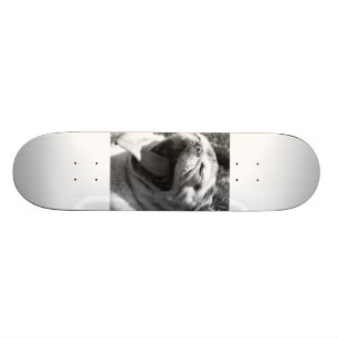 Eidechsen-Mops Skateboard