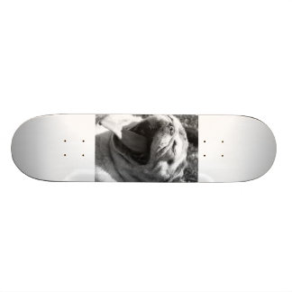 Eidechsen-Mops Skateboard