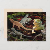 Eidechsen-Postkarte Postkarte (Vorne/Hinten)