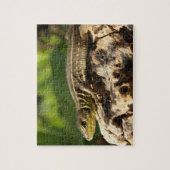 Eidechsen-Puzzle Puzzle (Vertikal)