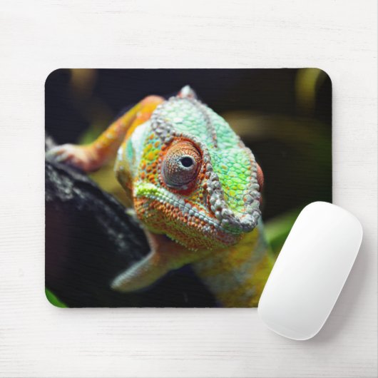 Eidechsen, Reptilien Mousepad (Mit Mouse)