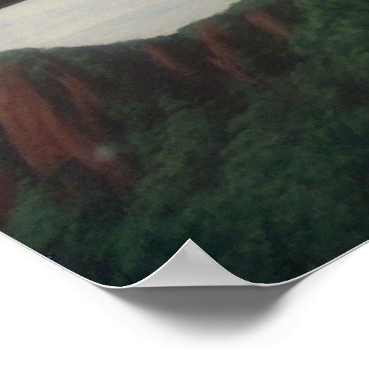 Eidechsen sehen vor Poster / Print (Ecke)