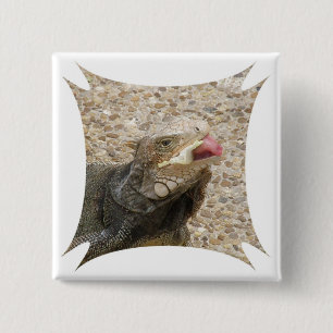 Eidechsen-Zunge-Quadrat-Button Button