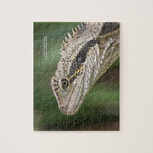 Eidechsenpuzzlespiel Puzzle (Vertikal)
