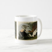 Eider Duck, Common Eider, Audubon Birds of Amerika Kaffeetasse (VorderseiteRechts)
