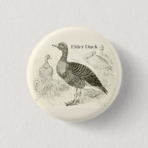 Eiderenten-Knopf Button