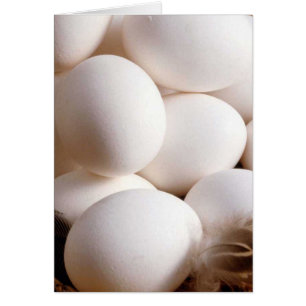 Eier