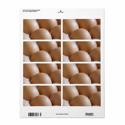 Eier (Vorne)