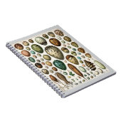 Eier - Adolphe Philippe Millot Notizblock (Rechte Seite)