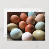 Eier aller Schatten Postkarte (Vorne/Hinten)