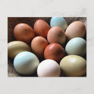 Eier aller Schatten Postkarte