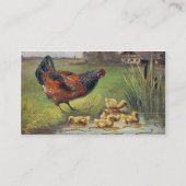 Eier aus frischen Freilandhaltung zum Verkauf Visitenkarte (Rückseite)