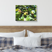 Eier, die auf Eichenbaum wachsen Leinwanddruck (Insitu (Schlafzimmer))