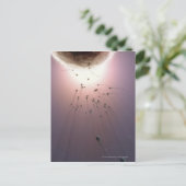 Eier, die durch Spermien befruchtet werden Postkarte (Stehend Vorderseite)