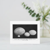 Eier gefechteter Riesen Kunst Postkarte (Stehend Vorderseite)