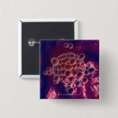 Eier in einem Ovum Button (Vorne & Hinten)