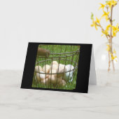 Eier Karte (Gelbe Blume)