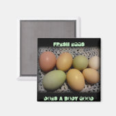 Eier machen einen Körper mit guten Magneten Magnet (Vorderseite/Rückseite)